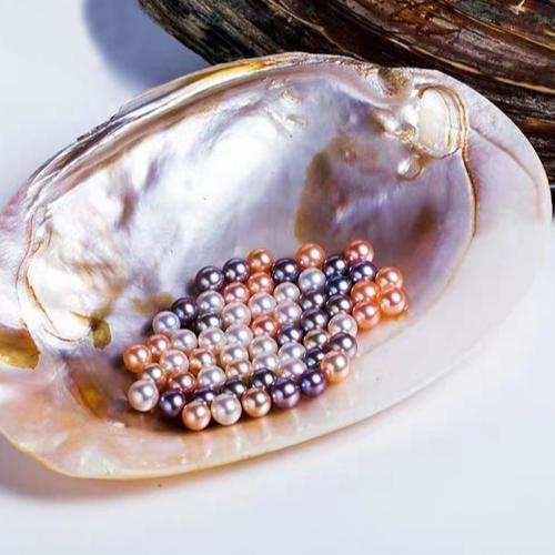 【Newbie Choice】M&M (20-35 Bean Shape Pearls)-TikTok Live